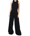 Lucian Matis Halter Neck Jumpsuit In Black In Black