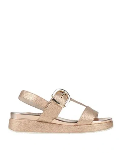 Luciano Barachini Oggi Woman Sandals Rose Gold Size 6 Leather