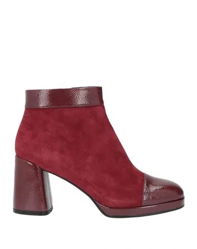 Luciano Barachini Woman Ankle Boots Burgundy Size 7 Leather In Red
