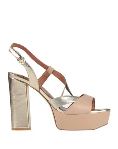 Luciano Barachini Woman Sandals Apricot Size 8 Leather In Multi