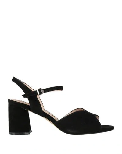Luciano Barachini Woman Sandals Black Size 5 Leather