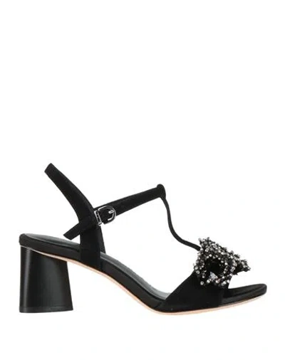 Luciano Barachini Woman Sandals Black Size 6 Leather
