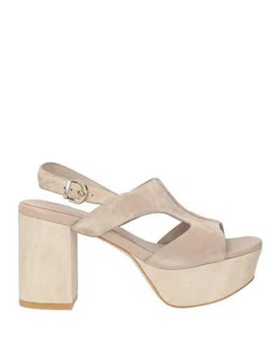 Luciano Barachini Woman Sandals Sand Size 7 Leather In Brown