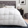 Lucid Winter Down Alternative Comforter In White