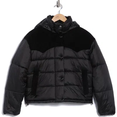 Lucky Brand Corduroy Trim Hooded Crop Puffer Jacket In Black