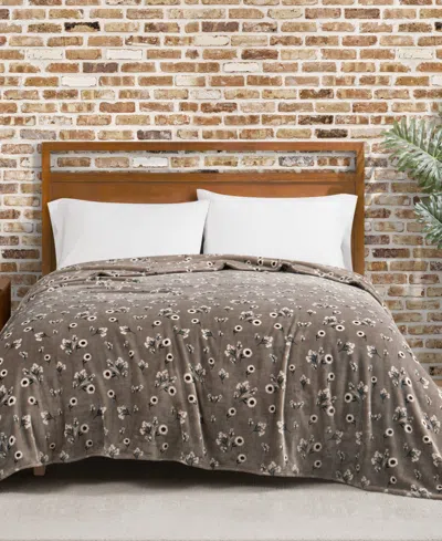 Lucky Brand Daisy Floral Cozy Plush Blanket, Full/queen In Beige