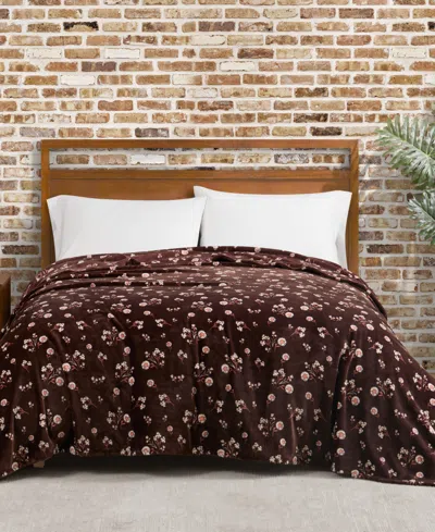 Lucky Brand Daisy Floral Cozy Plush Blanket, Twin/twin Xl In Brown