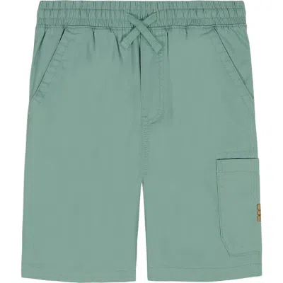 Lucky Brand Kids' Pull-on Cargo Shorts In Green