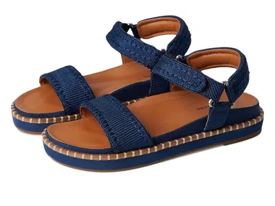 Lucky Brand Ullaniah Platform Ankle Strap Sandals In Blue
