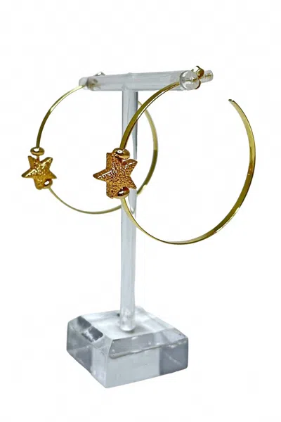 Lucky Star Jewels Caroline Star Hoop Earrings In Gold
