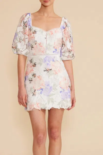 Lucy Paris Elaine Floral Dress In Multi