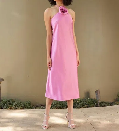 Lucy Paris Jonah Halter Dress In Pink