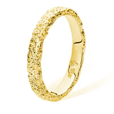 Lucy Quartermaine Women's Slim Hula Ring Gold Vermeil