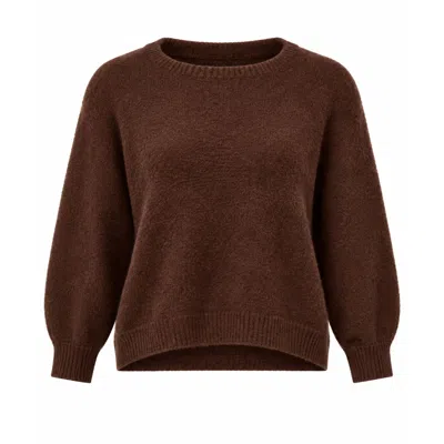 Luella Fashion Women's Brown Bettina Short Alpaca Jumper Chocolate