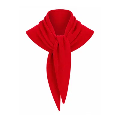 Luella Fashion Women's Cashmere Blend Neck Scarf Red