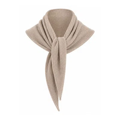 Luella Fashion Women's Neutrals Cashmere Blend Neck Scarf Camel In Beige
