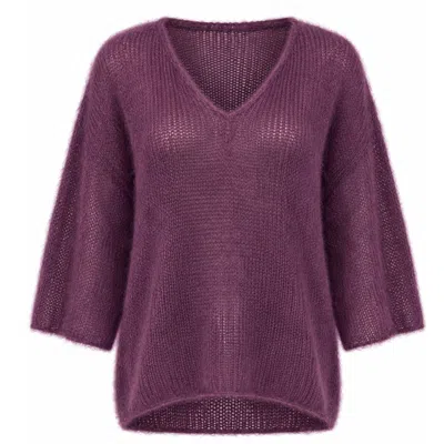 Luella Fashion Women's Purple Troon Mohair Blend V-neck Jumper Plum