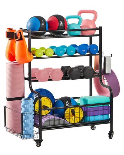 Lugo Heavy Duty Dumbbell Storage Rack & Stand With Wheels And Hooks In Multi