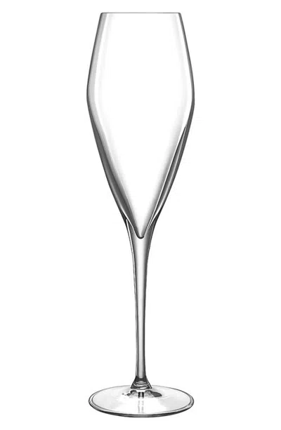 Luigi Bormioli Atelier Champagne Flute In Clear