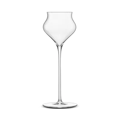 Luigi Bormioli Sapienta Spirits Glasses, Set Of 2 In Transparent