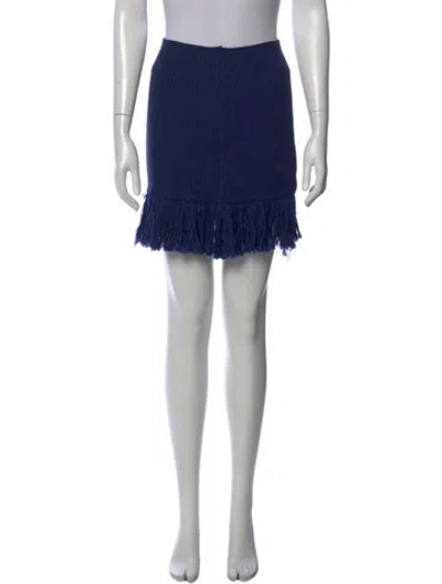 Pre-owned Luisa Beccaria Virgin Wool Mini Skirt In Blue