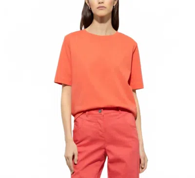 Luisa Cerano Basic Short Sleeve T Shirt In Hibiscus In Pink