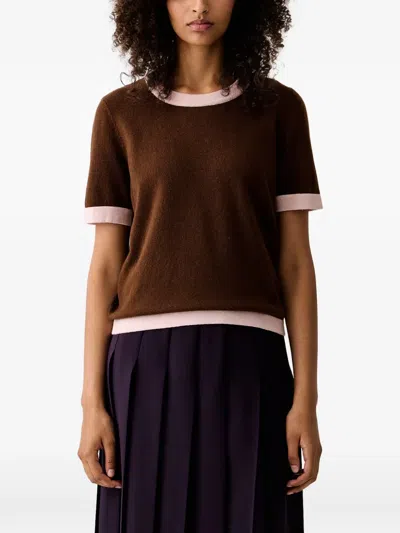 Luisa Spagnoli Casilda Contrast-trim Short-sleeve Sweater In Brown