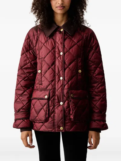 Luisa Spagnoli Quilted Corduroy-collar Jacket In Multi