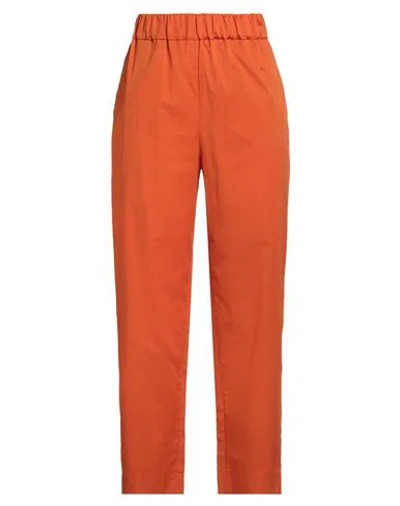 Luisa Spagnoli Woman Pants Orange Size Xl Cotton, Elastane