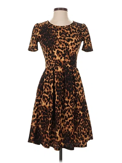 Pre-owned Lularoe Casual Dress In Brown
