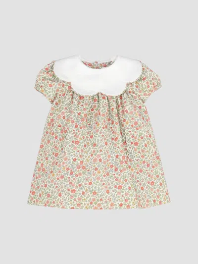 Luli & Me Girl's Baby Girl's & Little Girl's Floral Cotton Dress In Neutral