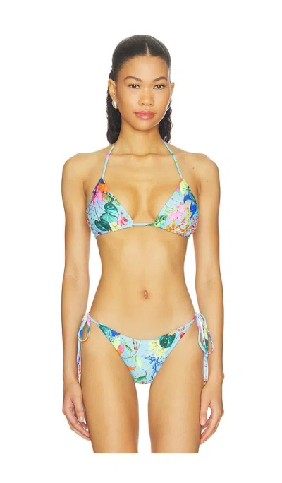 Luli Fama Oceans Kiss Crystallized Seamless In Multi