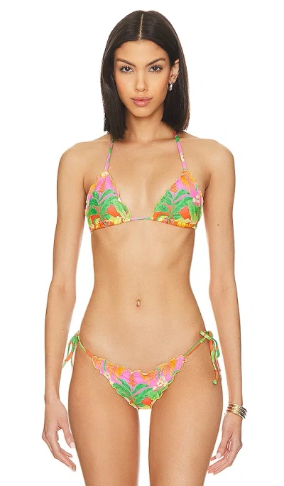 Luli Fama Palm Breeze Wavy Luxe Bikini Top In Multicolor