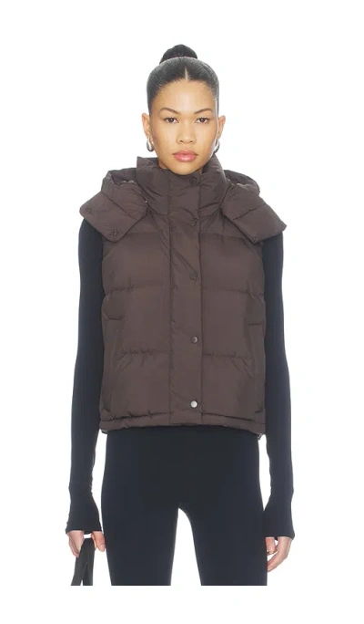 Lululemon 조끼 In Brown