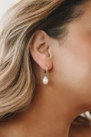 Lulus Divine Connection 14kt Gold Pearl Mini Hoop Earrings In Gold