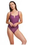 Luma Gottex High End V Wire One Piece