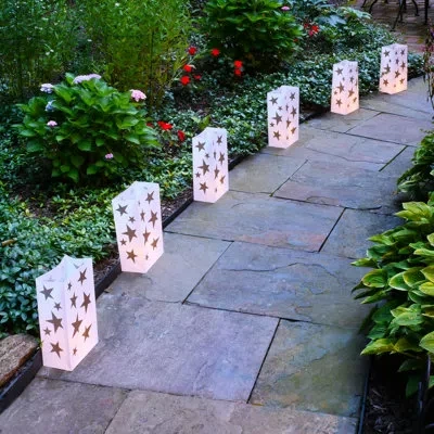 Lumabase Battery Operated Luminaria Kit With Timer, Gold Star In White