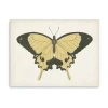 Lumaprints Beautiful Butterfly I Giclee Canvas Art In Yellow