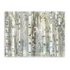 Lumaprints Birch Wood Meadow Canvas Art In White