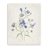 Lumaprints Blue Botanical I Canvas Art In Blue