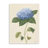 Lumaprints Blue Hydrangea Giclee Canvas Art In Blue