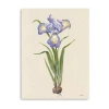 Lumaprints Blue Iris Giclee Canvas Art In Purple
