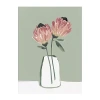 Lumaprints Blushing Protea Canvas Art In Pink