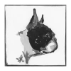 Lumaprints Boston Terrier Traditional Canvas Art In Black