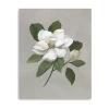 Lumaprints Botanical Magnolia Giclee Canvas Art In White