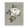 Lumaprints Botanical Rose Giclee Canvas Art In White