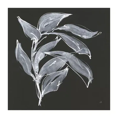 Lumaprints Branch I Canvas Art In Black