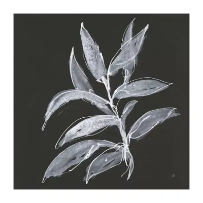Lumaprints Branch Iv Canvas Art In Black