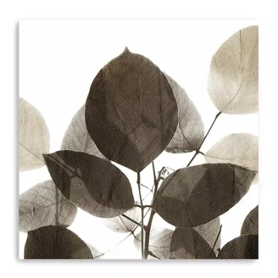 Lumaprints Chocolate Leaves 1 Canvas Art In Brown