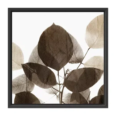 Lumaprints Chocolate Leaves 1 Framed Canvas Art In Brown